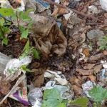 Los despojos del menor fueron encontrados en el terreno baldío que se utiliza como vertedero de basura.