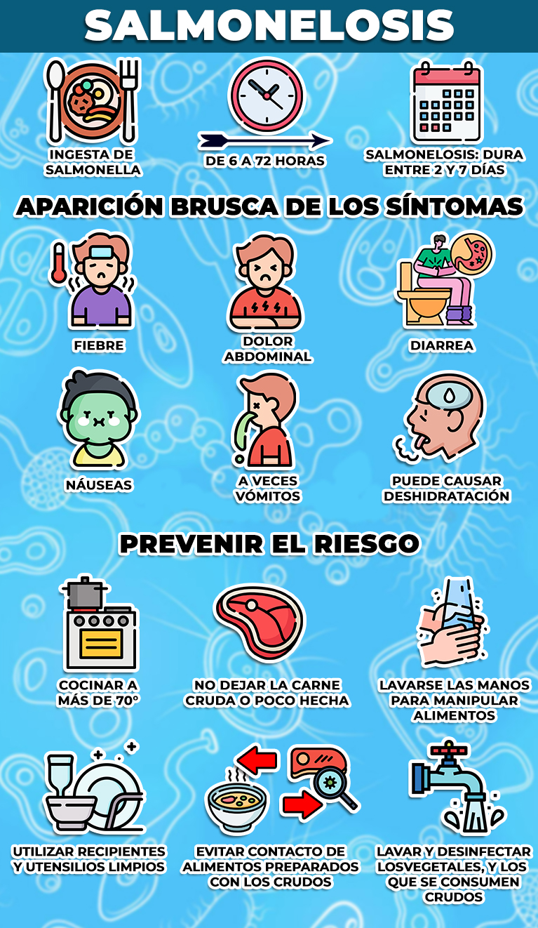 INFOGRAFIA-SALMONELOSIS | El Periodiquito