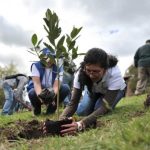 Grupos ecologistas reforestan espacios públicos