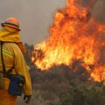Los incendios forestales podrían aumentar ante el cambio climático