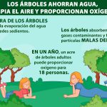 ARBOLES-infografía