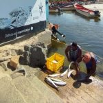 La pesca es uno de los sectores economicos más fuertes en el pueblo costero