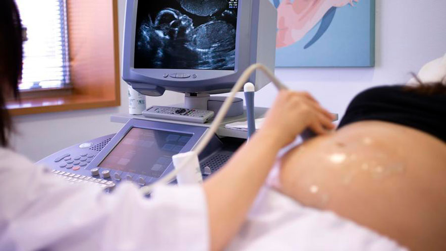 La FDA aprueba el kit de inseminación casera - Colegio Médico Colombiano