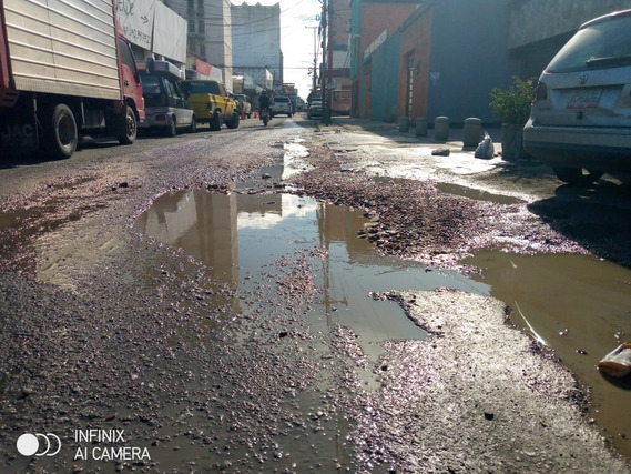 Decenas de huecos hacen intransitable la calle Páez en Maracay