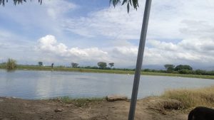 El muchacho sin saber nadar se metió a la laguna artificial para disfrutar de una baño junto a sus amigos