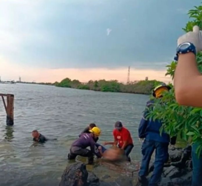 Los cuerpos de los adolescentes fueron succionados mientras nadaban en el lago